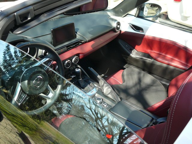P1050581.JPG