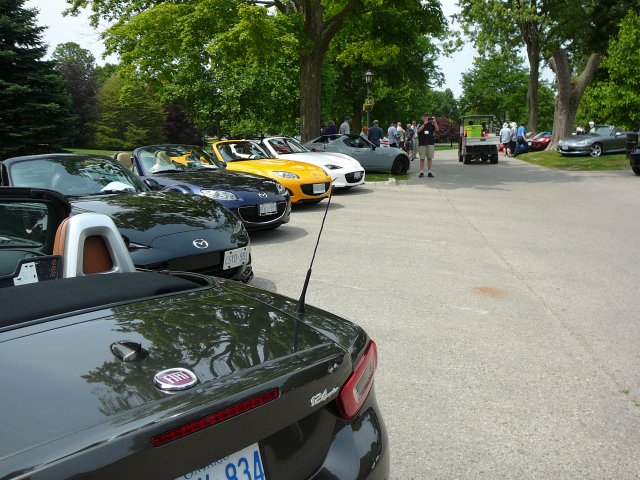 P1050731.JPG